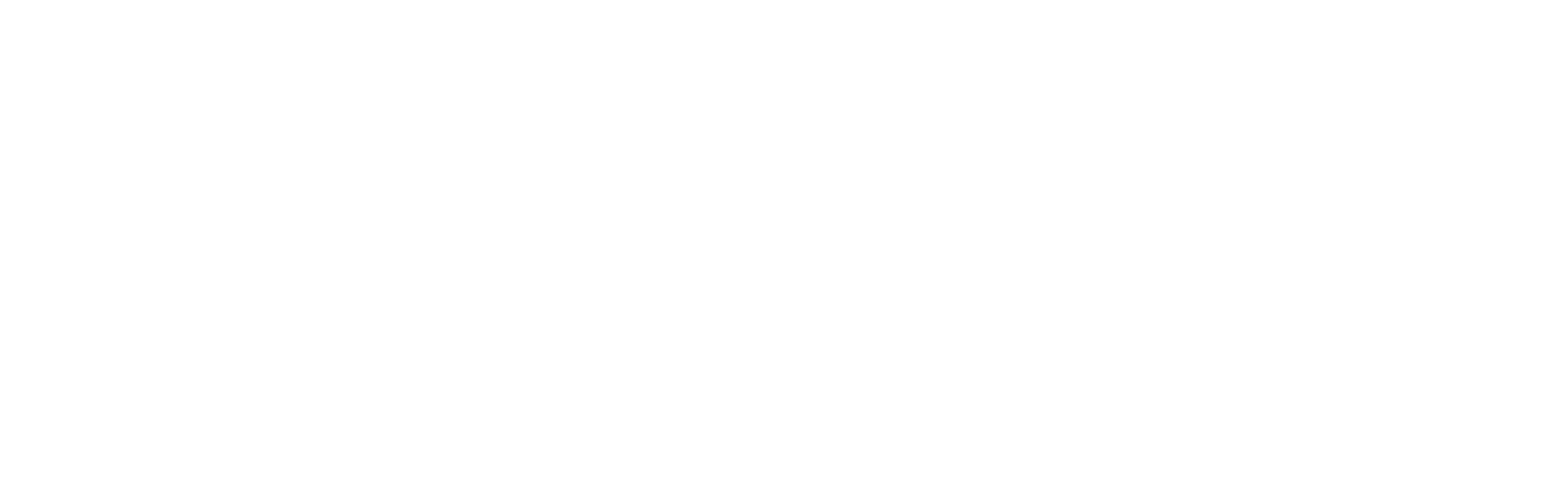 eLeoRex Technologies Canada inc.